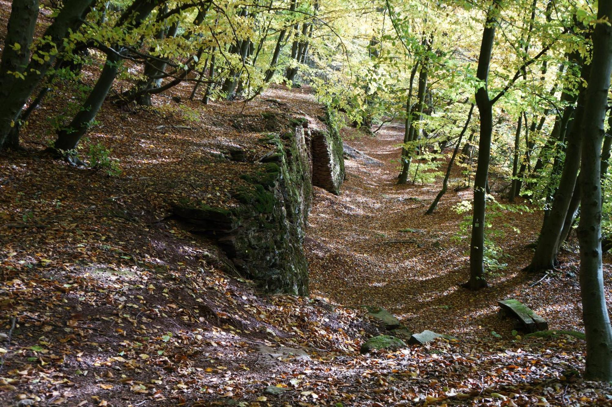 Waldhotel Schinkenwirt Olsberg Exterior foto